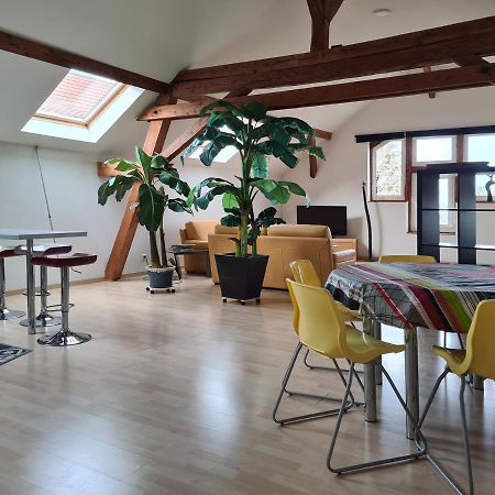 Вилла Grange Des Arts Saint-Nabor Экстерьер фото
