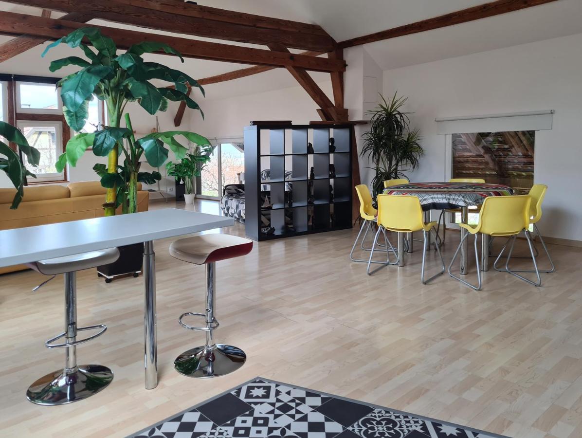 Вилла Grange Des Arts Saint-Nabor Экстерьер фото