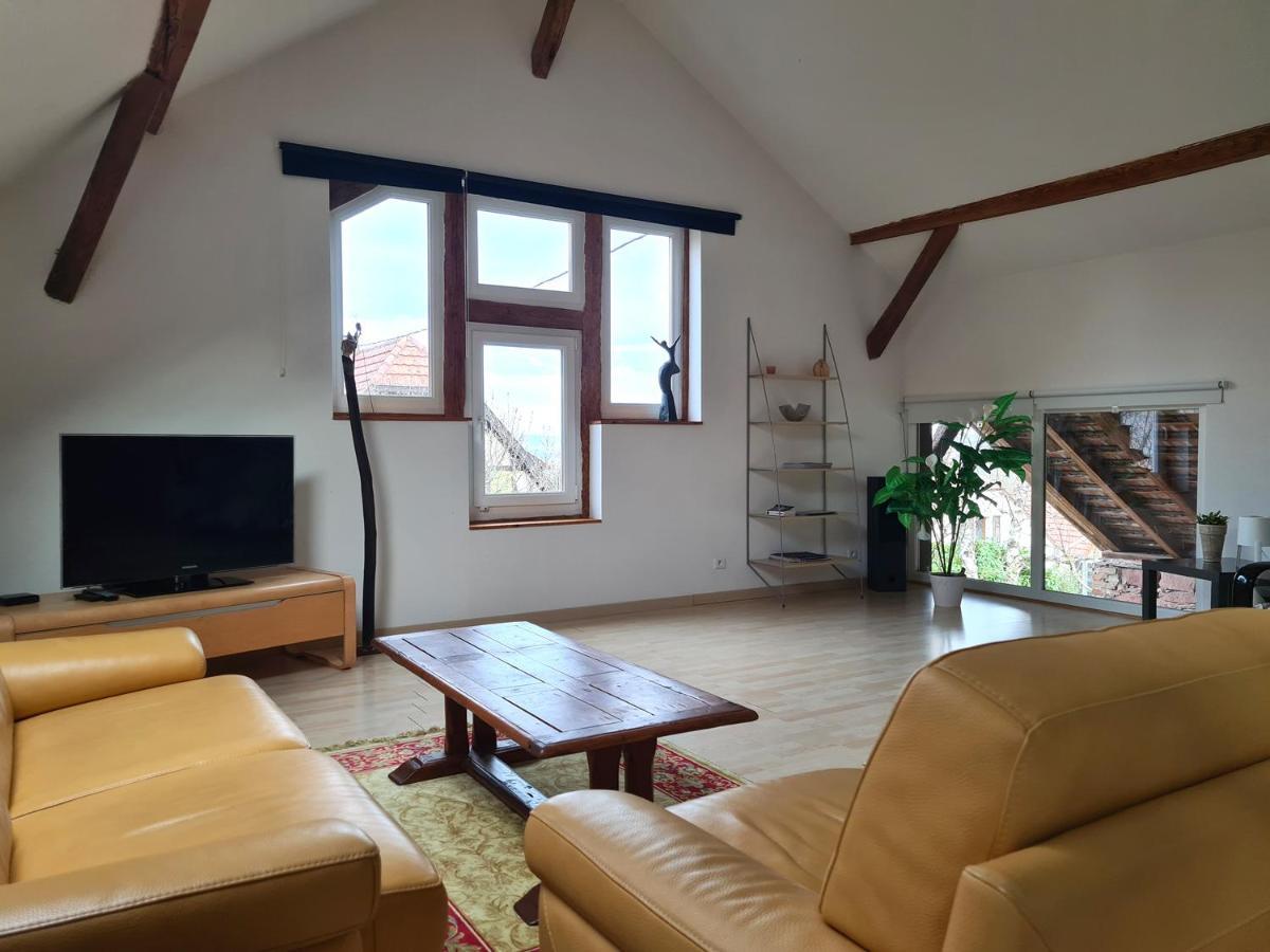 Вилла Grange Des Arts Saint-Nabor Экстерьер фото