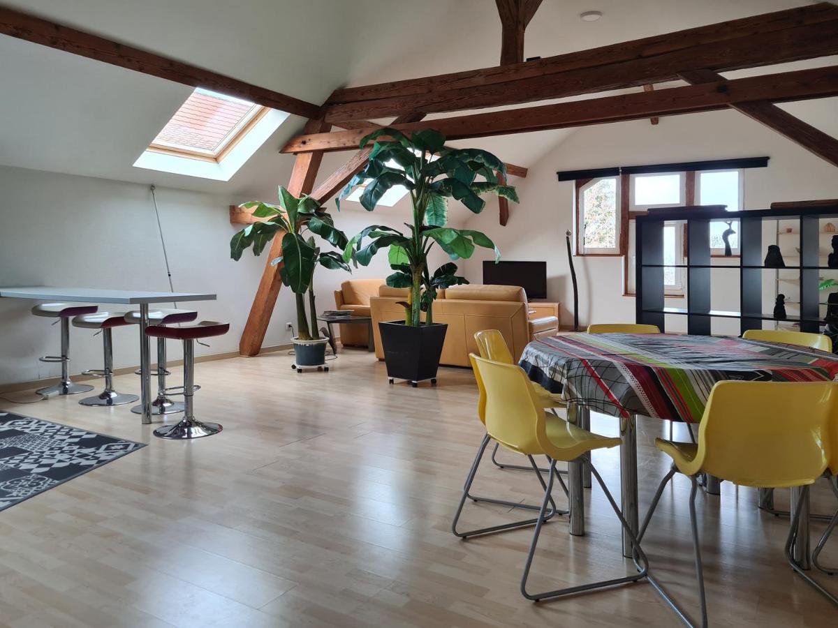Вилла Grange Des Arts Saint-Nabor Экстерьер фото
