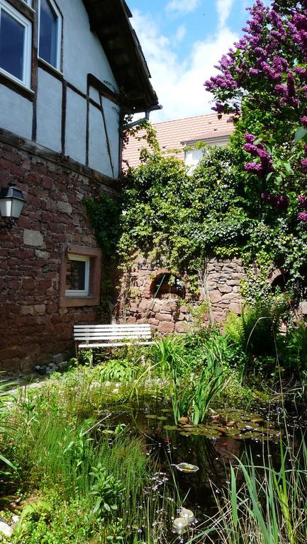 Вилла Grange Des Arts Saint-Nabor Экстерьер фото